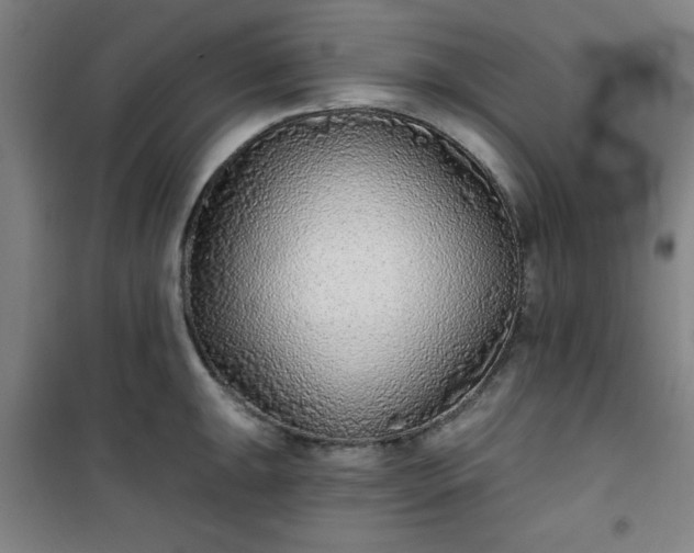 X0000101141047200807110938