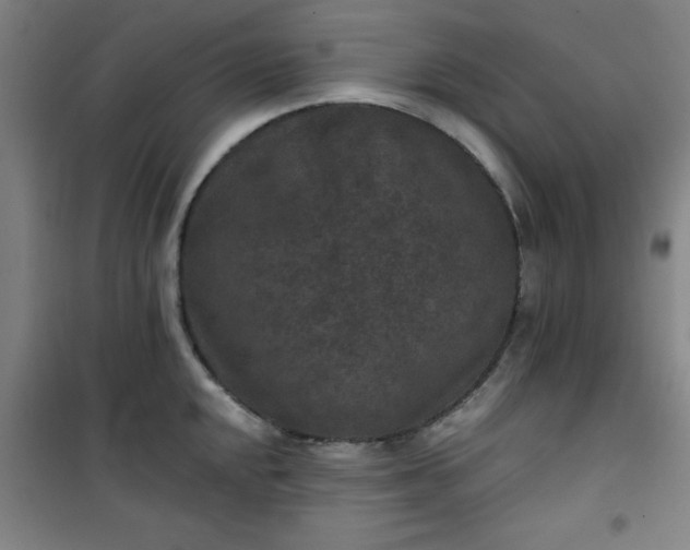 X0000101141048200807110938