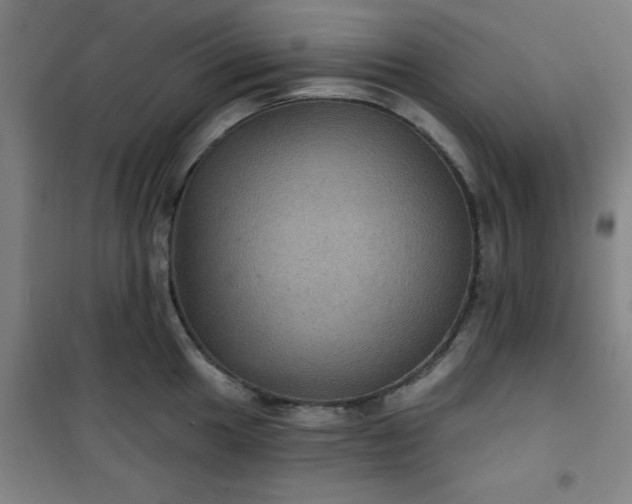 X0000101141049200807110938