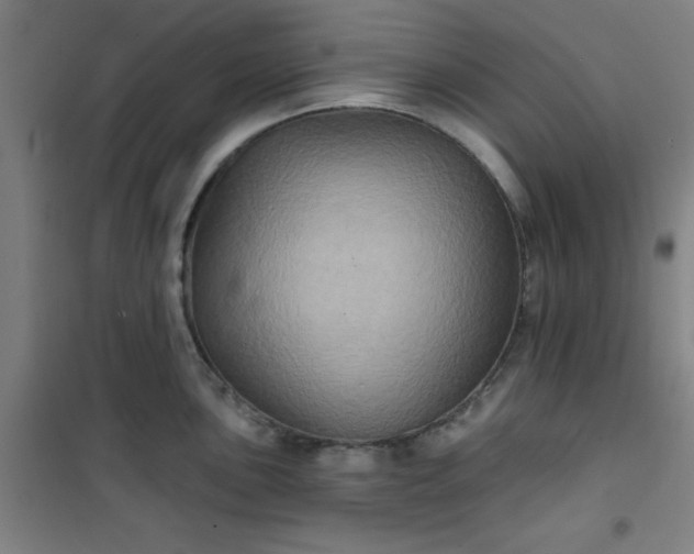 X0000101141051200807110938