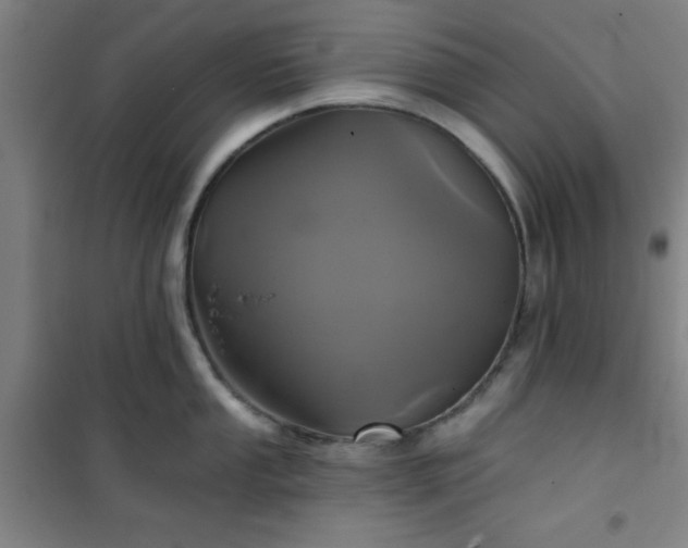 X0000101141053200807110938