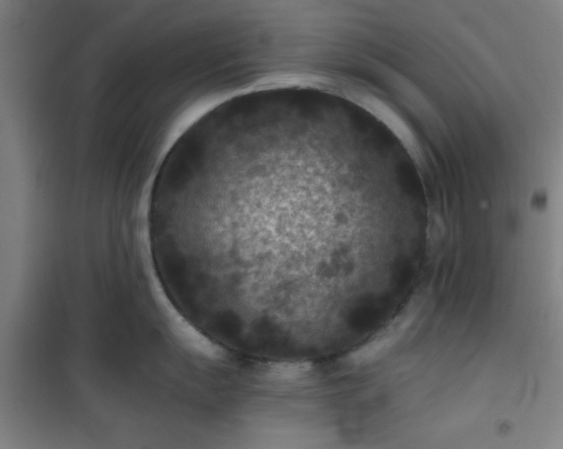 X0000101141055200807110938