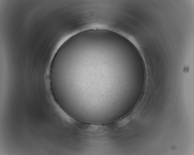 X0000101141056200807110938