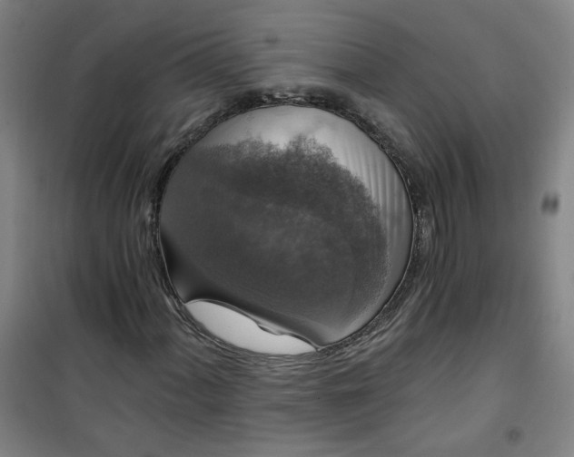 X0000101141060200807110937