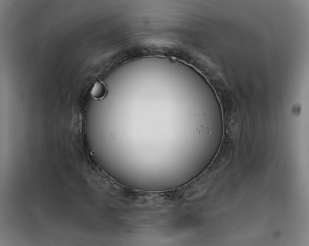 X0000101141061200807110937