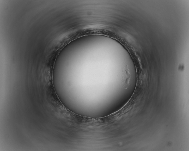 X0000101141062200807110937