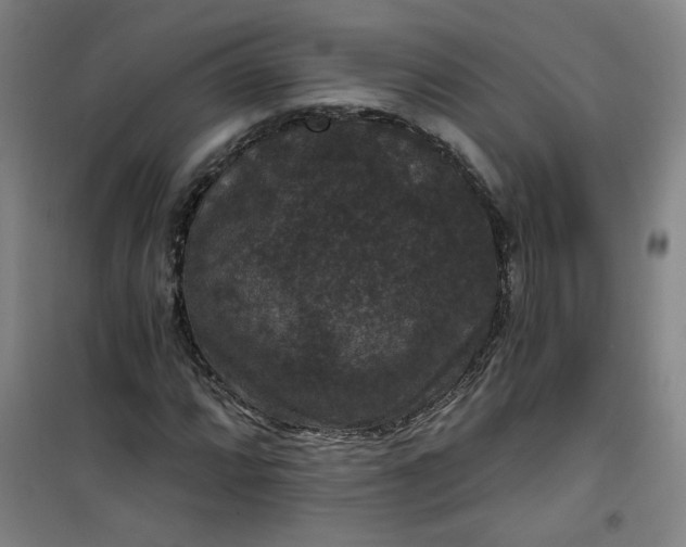 X0000101141064200807110937