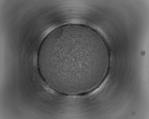 X0000101141065200807110937