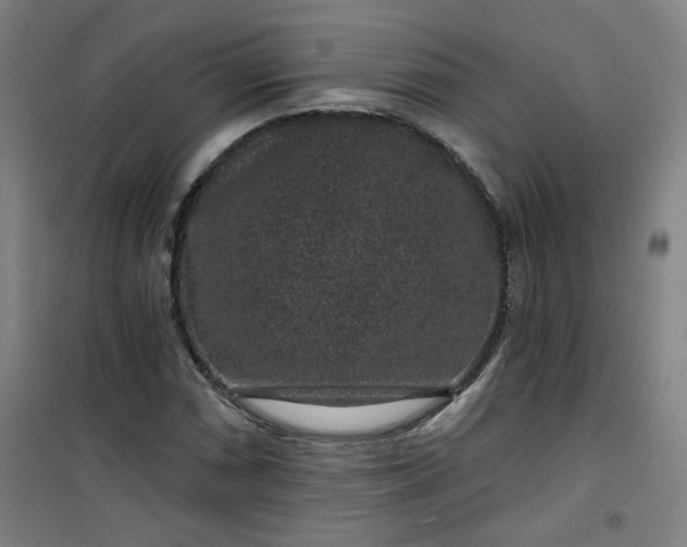 X0000101141066200807110937