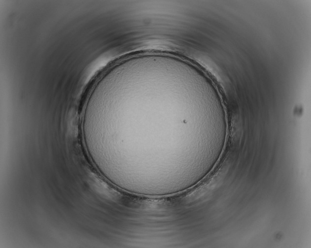 X0000101141067200807110937