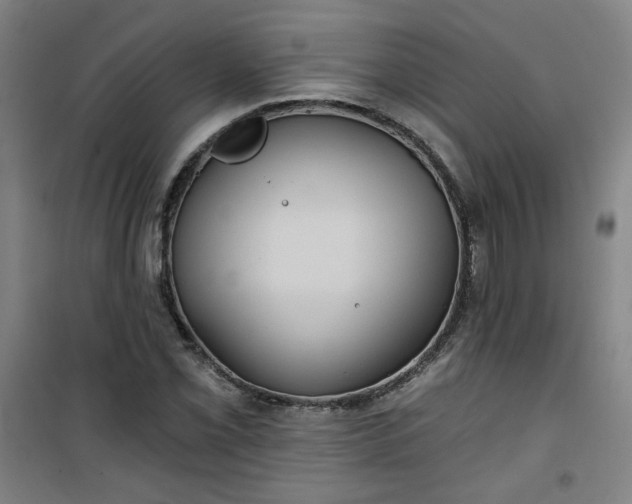 X0000101141069200807110937