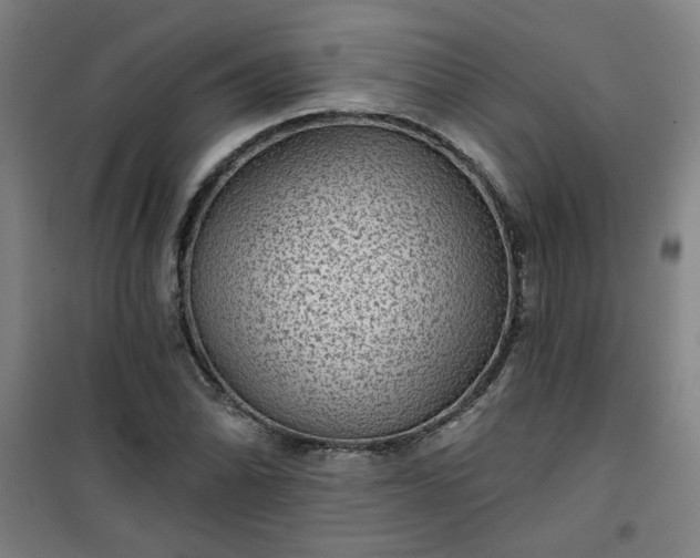 X0000101141070200807110937