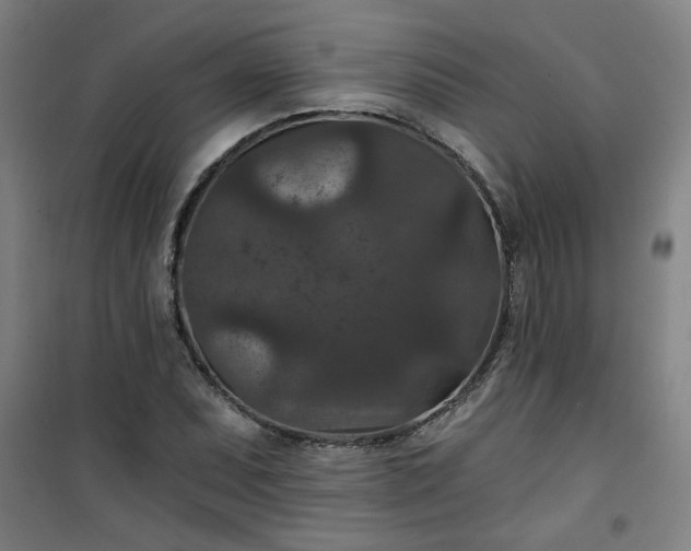 X0000101141071200807110937