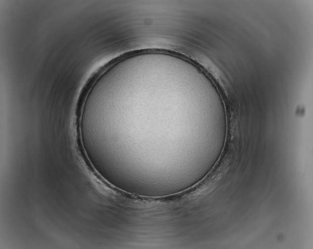 X0000101141072200807110937