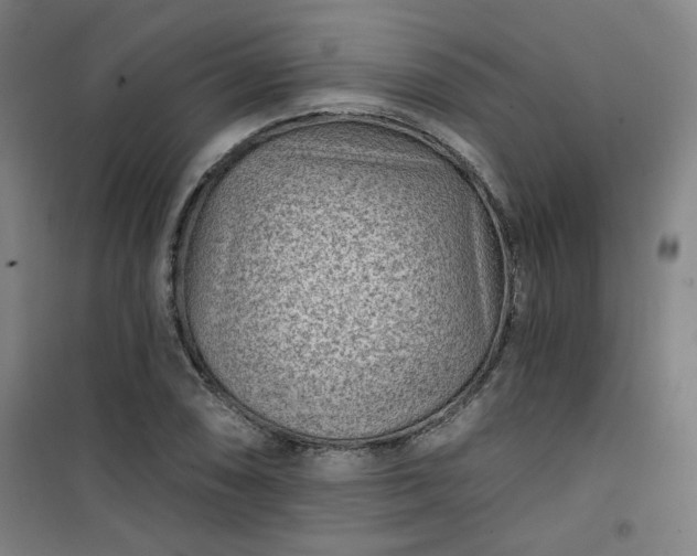 X0000101141074200807110937