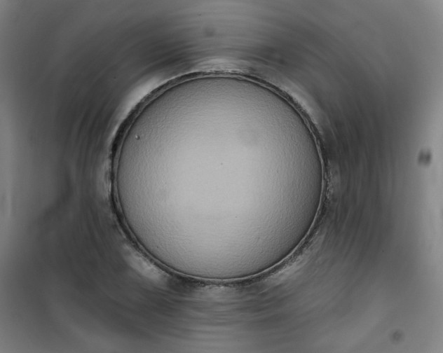 X0000101141075200807110937