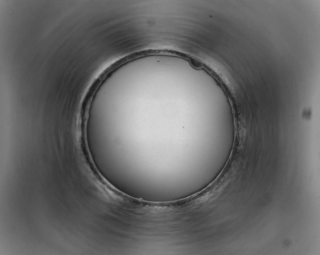 X0000101141076200807110937