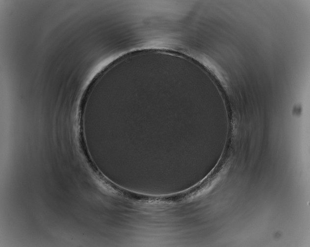 X0000101141077200807110937