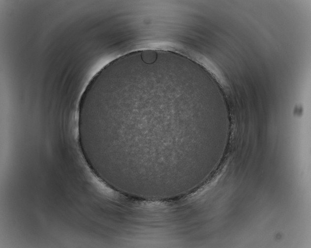 X0000101141079200807110937