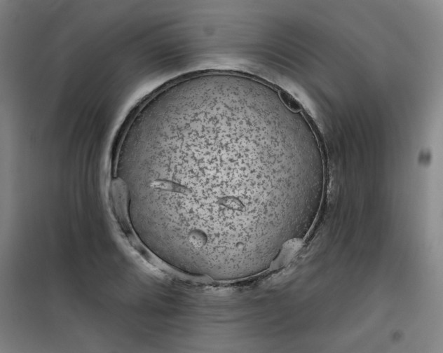 X0000101141080200807110937