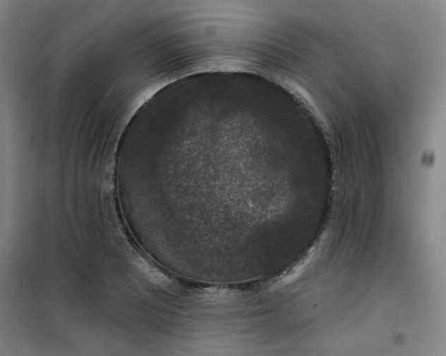 X0000101141081200807110937