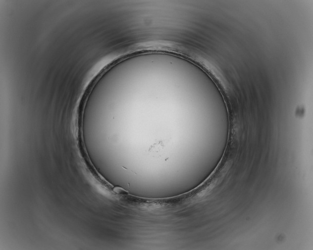 X0000101141082200807110937