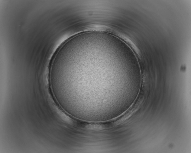 X0000101141083200807110937