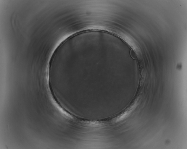 X0000101141084200807110937