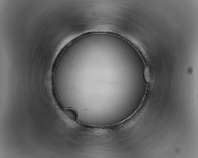 X0000101141085200807110937