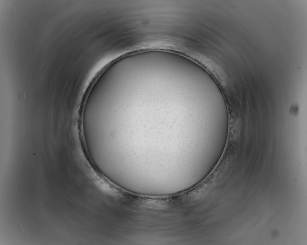 X0000101141086200807110937