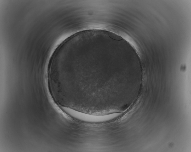 X0000101141088200807110937