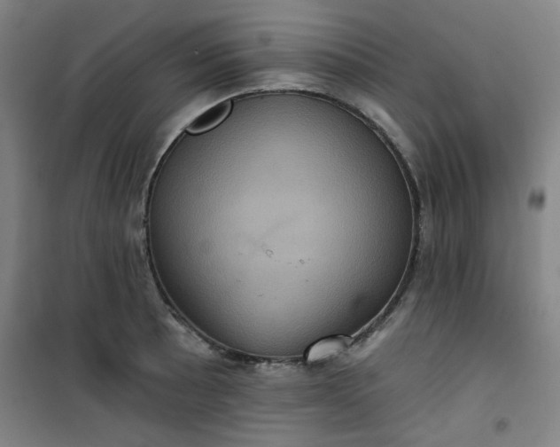 X0000101141089200807110937