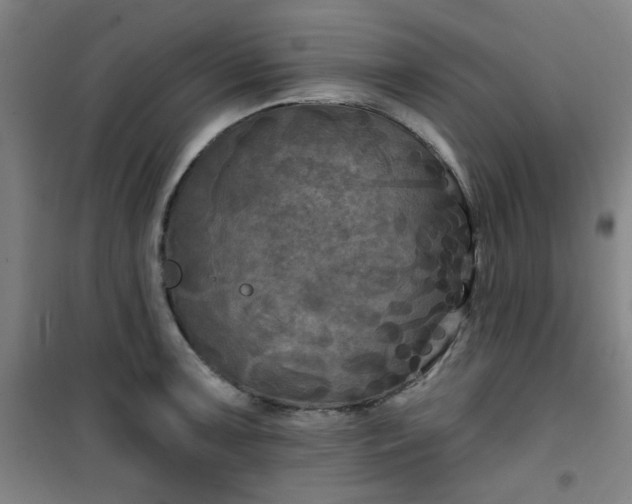 X0000101141091200807110937