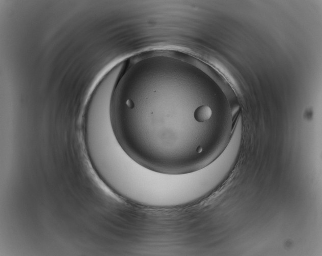 X0000101141092200807110937