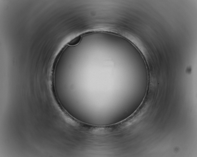 X0000101141093200807110937