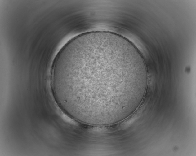 X0000101141094200807110937