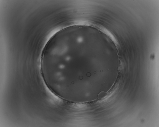 X0000101141095200807110937