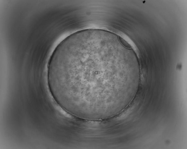 X0000101141096200807110937