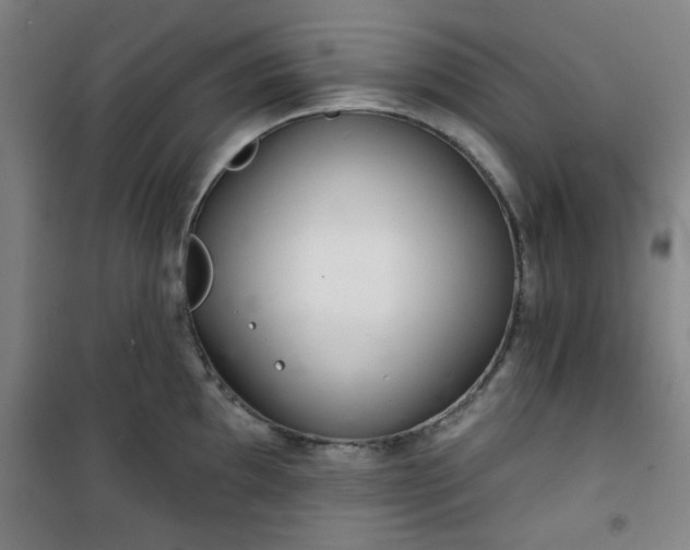 X0000101141097200807110937