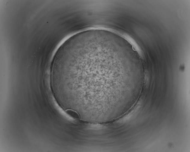 X0000101141100200807110937