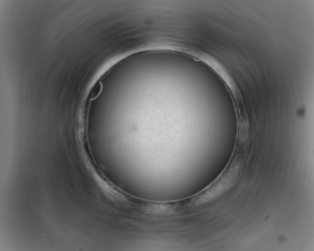 X0000101141101200807110937