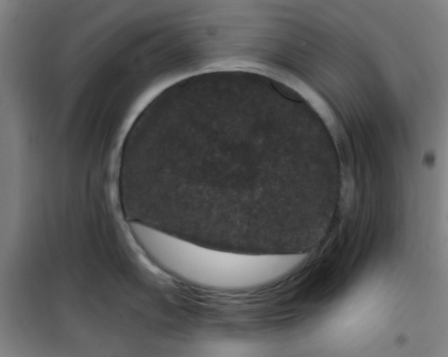 X0000101141102200807110937