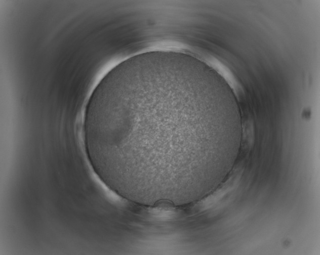 X0000101141103200807110937