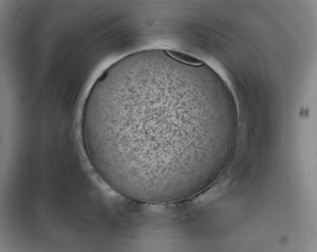 X0000101141104200807110936