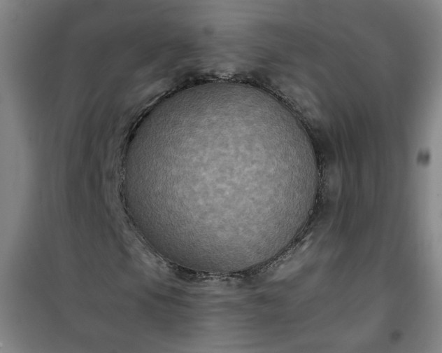 X0000101141105200807110936