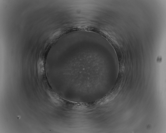 X0000101141106200807110936