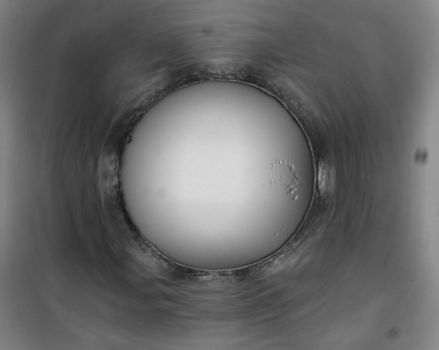 X0000101141107200807110936