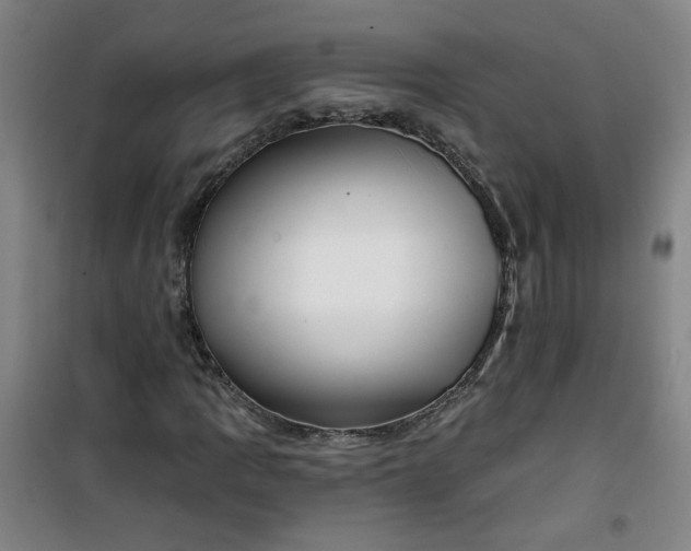 X0000101141109200807110936