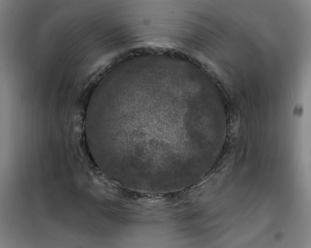 X0000101141110200807110936