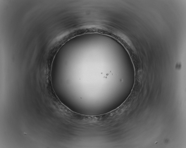 X0000101141111200807110936